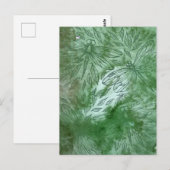 Groene Libellen Libellenliefhebbers Briefkaart (Voorkant / Achterkant)