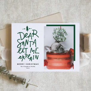 Groene Lieve Kerstman Laat Me Uitleggen Foto Kerst Feestdagen Kaart