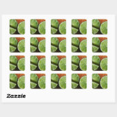 Groene Limoen citrusvruchtenvitamine, Abstract Vierkante Sticker (Vel)