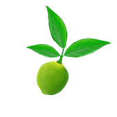 Groene Limoenen Limeade Gin En Tonic Blikvorm Glas