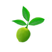 Groene Limoenen Limoenade Blikvorm Glas
