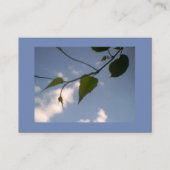 Groene lozing in blauwe hemel visitekaartje (Voorkant)