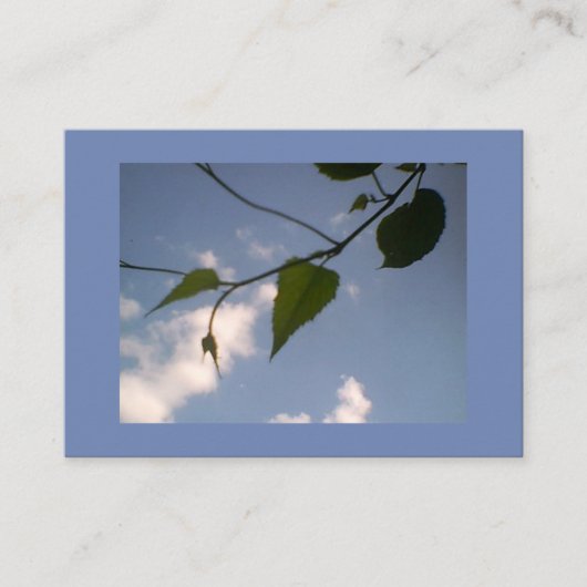 Groene lozing in blauwe hemel visitekaartje (Voorkant)