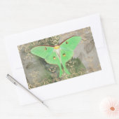 Groene Luna Moth Rechthoekige Sticker (Envelop)