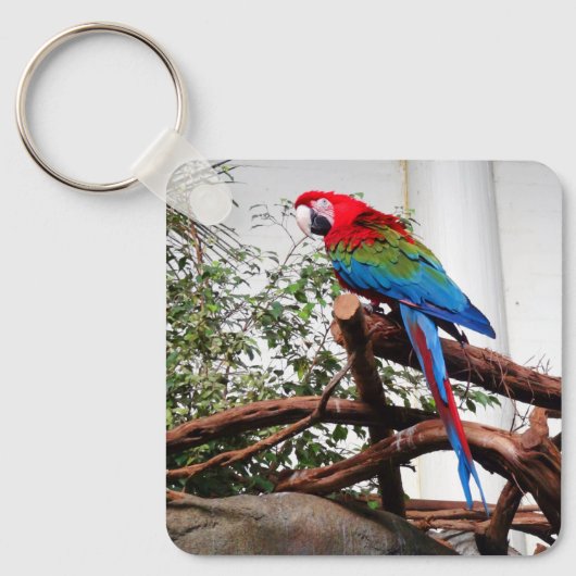 Groene Macaw #3 Sleutelhanger (Voorkant)
