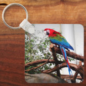 Groene Macaw #3 Sleutelhanger (Voorkant)