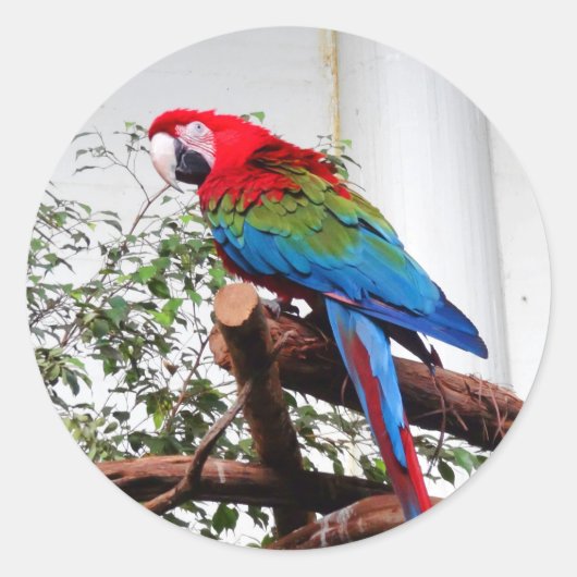 Groene Macaw #3 Stickers (Voorkant)