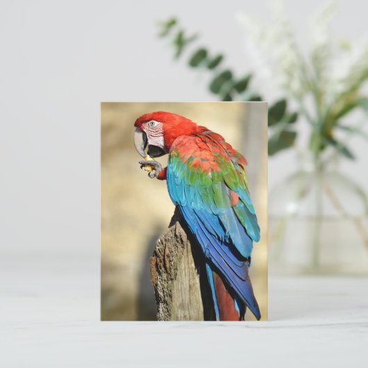 Groene Macaw op baard Briefkaart (Staand voorkant)