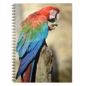 Groene Macaw op baard Notitieboek (Voorkant)