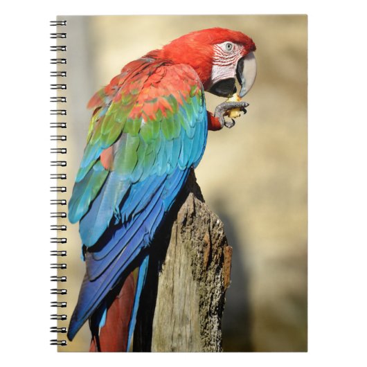 Groene Macaw op baard Notitieboek (Voorkant)