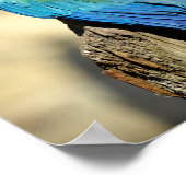 Groene Macaw op baard Poster (Hoek)