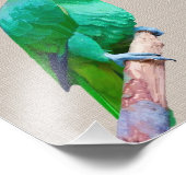 Groene Macaw Parrot op een  tekst aan de rand Foto Afdruk (Hoek)