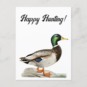 Groene Mallard Duck Jacht Natuur Kunst Briefkaart
