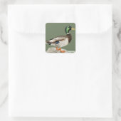 Groene Mallard Duck Jacht Natuur Kunst Vierkante Sticker (Tas)