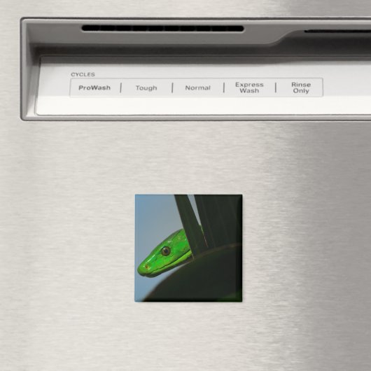 groene mamba magneet (Insitu (Vaatwasser))