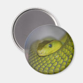Groene Mamba Magneet (Voorkant / Achterkant)