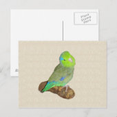 Groene mannelijke parrotlet briefkaart (Voorkant / Achterkant)