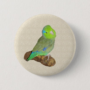 Groene mannelijke parrotlet ronde button 5,7 cm