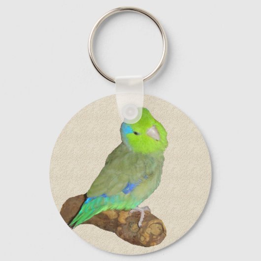 Groene mannelijke parrotlet sleutelhanger (Voorkant)