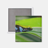 Groene mantelmantel magneet (Voorkant / Achterkant)