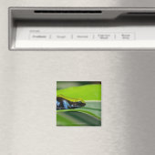 Groene mantelmantel magneet (Insitu (Vaatwasser))