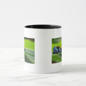Groene mantelmantel mok (Midden)