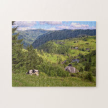 Groene Meadows en een koe met uitzicht van panoram