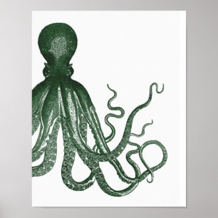 Groene Modern Octopus Poster