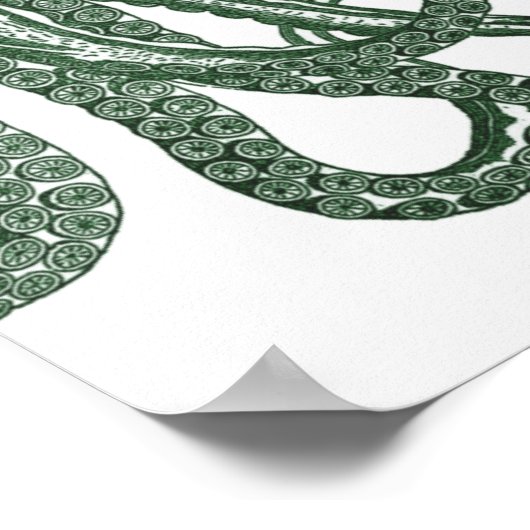 Groene moderne Octopus Poster (Hoek)
