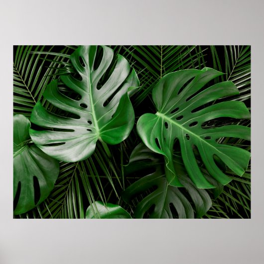 Groene monstera-bladeren en palmbladeren poster (Voorkant)