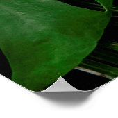 Groene monstera-bladeren en palmbladeren poster (Hoek)