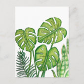 Groene Monstera Bladeren Tekening Gekleurd Potlood Briefkaart (Voorkant)