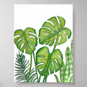 Groene Monstera Bladeren Tekening Gekleurde Potloo Poster (Voorkant)