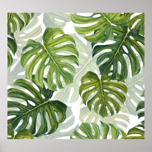 Groene Monstera Tropische Waterverf Poster