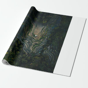 Groene mos op zwarte rots cadeaupapier