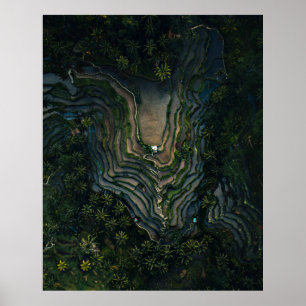 Groene mos op zwarte rots poster