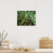 Groene mos poster (Keuken)