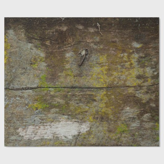 Groene mos textuur en achtergrond. abstract, leven cadeaupapier (Vlak)