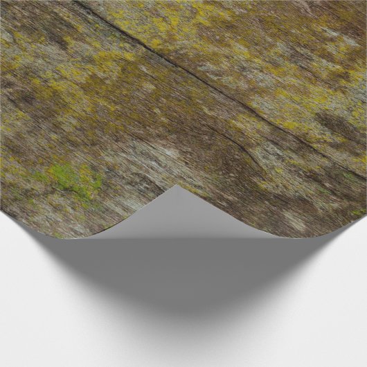 Groene mos textuur en achtergrond. abstract, leven cadeaupapier (Hoek)