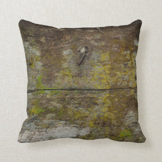 Groene mos textuur en achtergrond. abstract, leven kussen