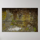 Groene mos textuur en achtergrond. abstract, leven poster (Voorkant)