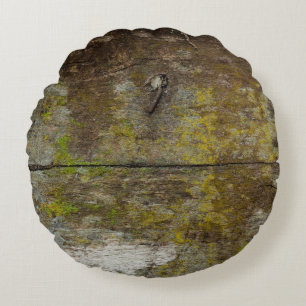 Groene mos textuur en achtergrond. abstract, leven rond kussen