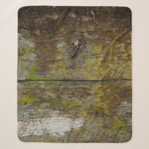Groene mos textuur en achtergrond. abstract, leven sherpa deken