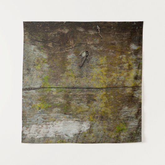 Groene mos textuur en achtergrond. abstract, leven wandkleed (Voorkant)