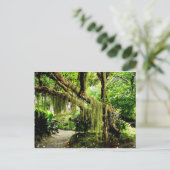 Groene Moss Covered Tree Briefkaart (Staand voorkant)