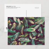 Groene mosselen briefkaart (Voorkant / Achterkant)