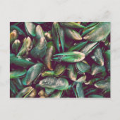 Groene mosselen briefkaart (Voorkant)