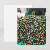 Groene mosselen voor verkoop platte Kaart (Voorkant / Achterkant)
