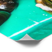 groene mosselen voor verkoop poster (Hoek)