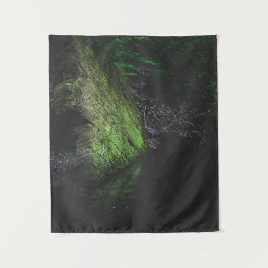 Groene mossy rots met reflectie in water wandkleed (Voorkant)